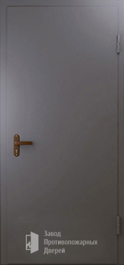 Фото двери «Техническая дверь №1 однопольная» в Верее